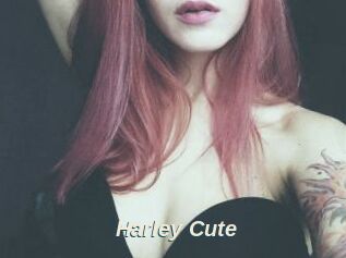 Harley_Cute