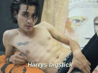 Harrys_bigstick