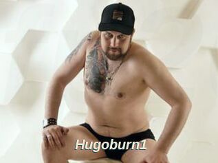Hugoburn1