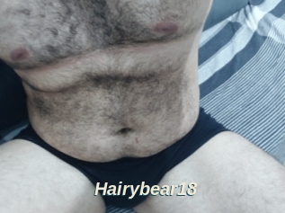 Hairybear18