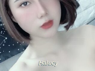Halucy
