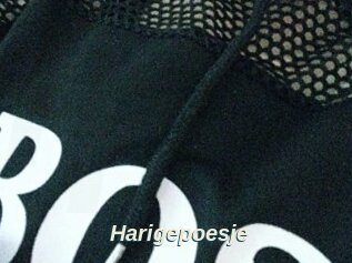 Harigepoesje