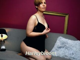 Harleybloom