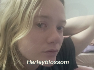 Harleyblossom