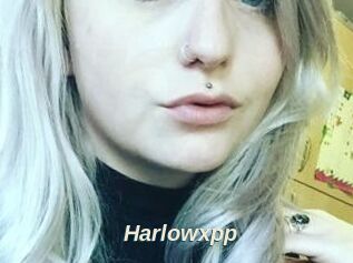 Harlowxpp