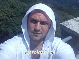 Haroldspace