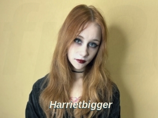 Harrietbigger