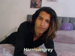 Harrisongrey