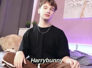 Harrybunny