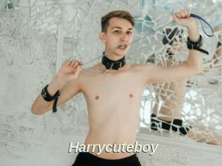 Harrycuteboy
