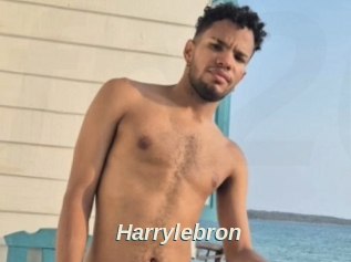 Harrylebron