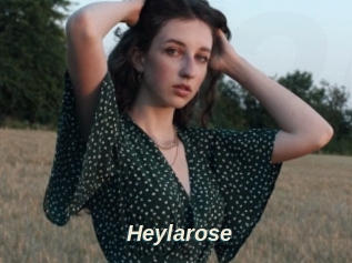 Heylarose