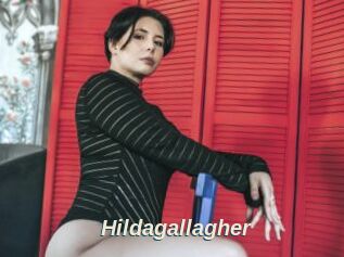 Hildagallagher