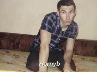 Hornyb