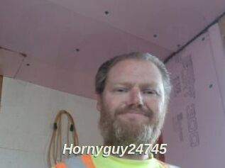 Hornyguy24745