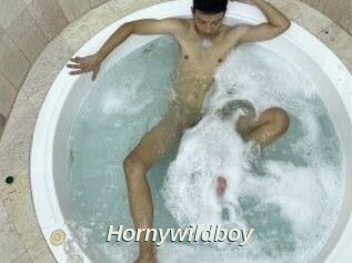 Hornywildboy