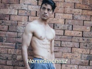 Horse9inchesz