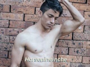 Horsenineinche