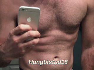 Hungbistud18