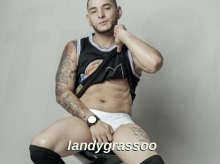Iandygrassoo