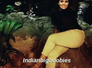 Indianbigboobies