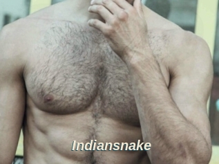 Indiansnake