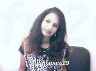 Indianspice29