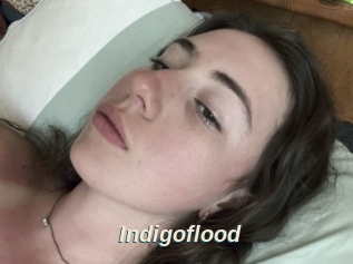 Indigoflood
