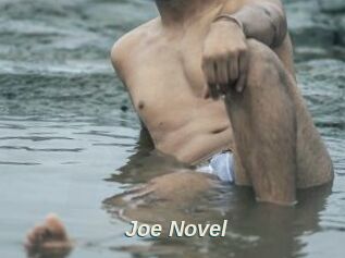 Joe_Novel
