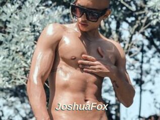 JoshuaFox