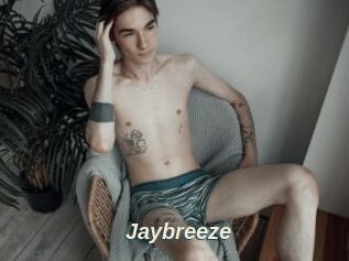 Jaybreeze