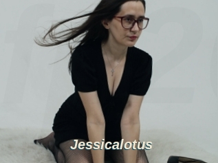 Jessicalotus