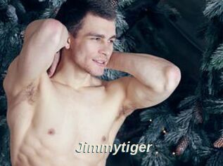 Jimmytiger
