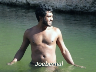 Joebernal