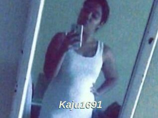 Kaju1691