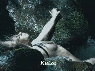 Katze