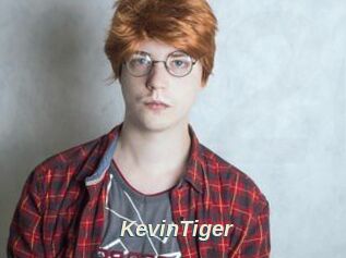 KevinTiger