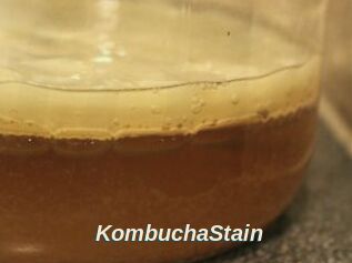KombuchaStain