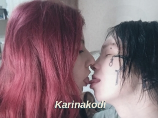 Karinakodi
