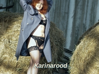Karinarood