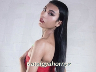 Kataleyahornys