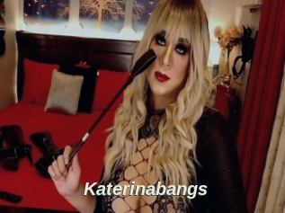 Katerinabangs