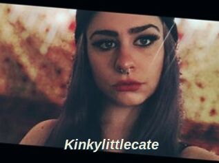 Kinkylittlecate