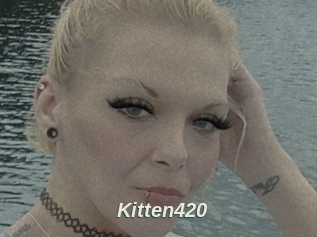 Kitten420