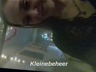Kleinebeheer