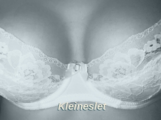 Kleineslet