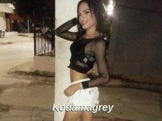 Kodamagrey