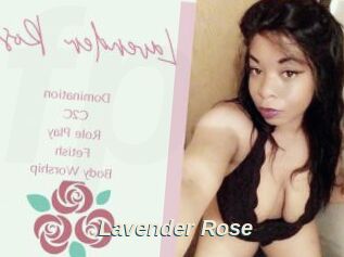 Lavender_Rose
