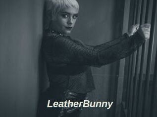 LeatherBunny
