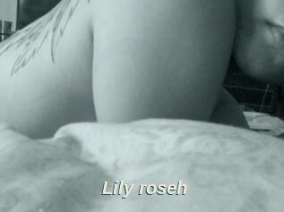 Lily_roseh